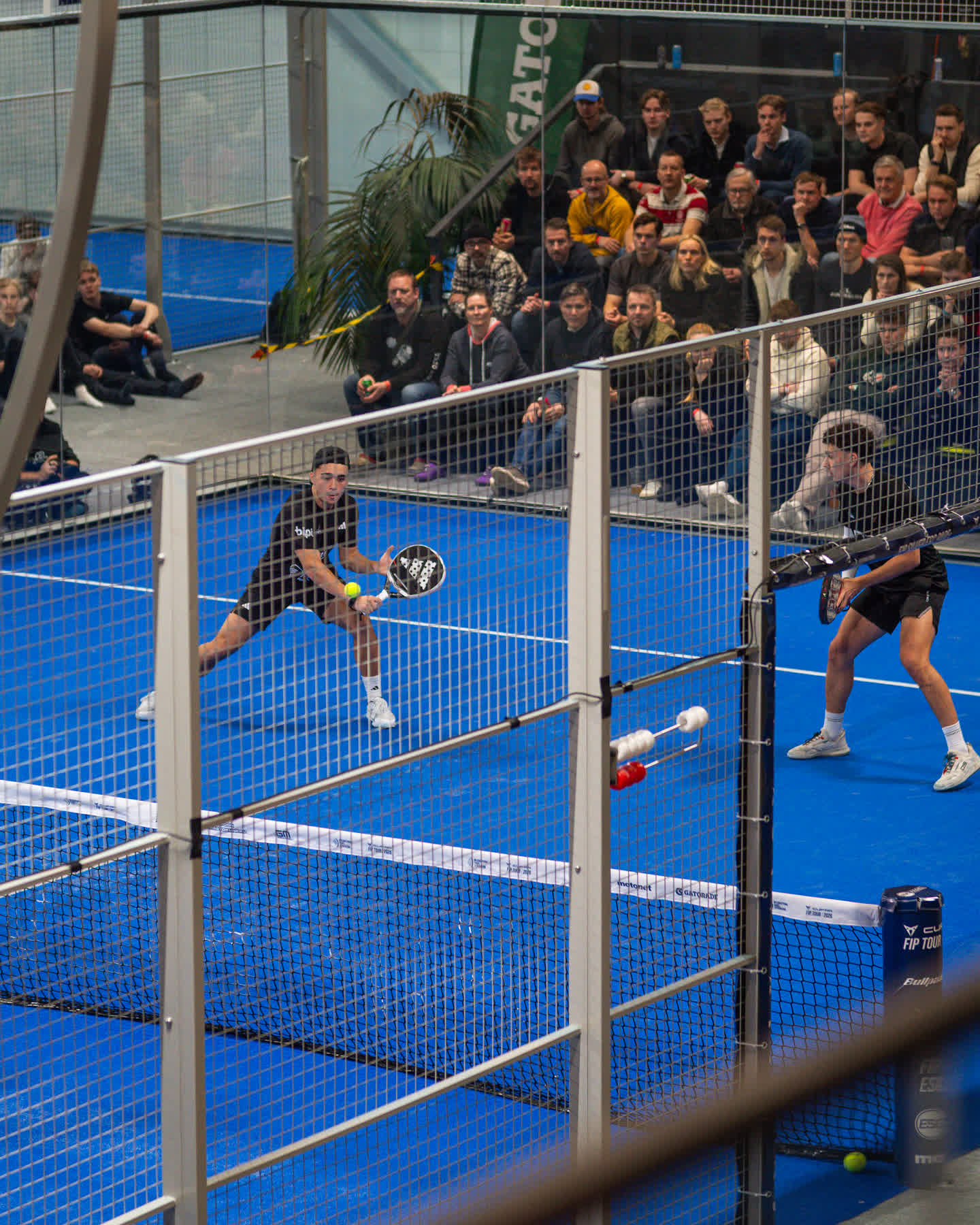 Ammattilaisten padel-ralli täysien katsomoiden edessä